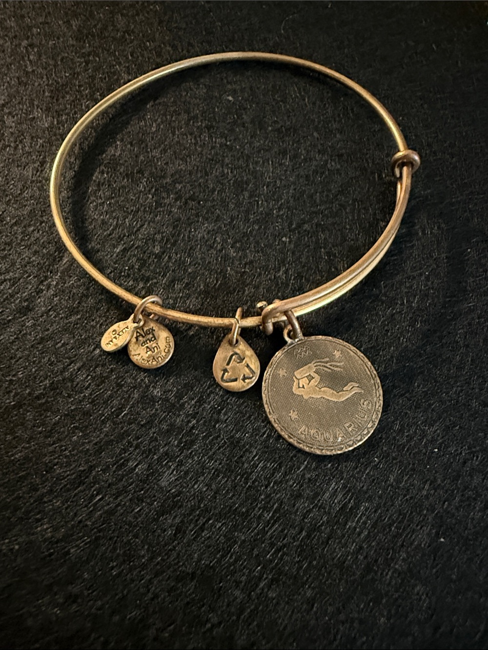 Alex & Ani Gold Tone Aquarius Charm Bangle Bracelet